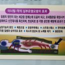 이엔아이지해독센터