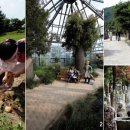 세중농장2 이미지