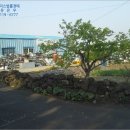 하예동-12 이미지