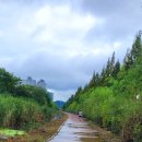 소래까지 걸었습니다. 이미지