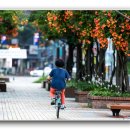 부천중앙공원 이미지