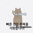 세종이마트믿음약국 티스토리