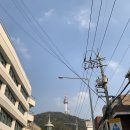 구웅1호 | 이태원 해방촌 비건 식당 더로얄푸드앤드링크에서 (비건/논비건) 데이트!