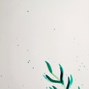 수채화 캘리그라피 초급 이미지