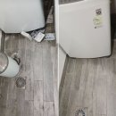 음성방역 | 음성청소업체 만족도 후기, 곰팡이 싹 제거