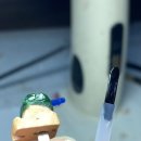 한샘치과기공소 이미지