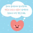 유튜브 짧은 영상 만들기 | 딸깍하고 영상 만들기 AI 자동화 프로그램 사용 후기