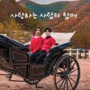 태백승마클럽 이미지