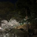 봉은테니스장 이미지