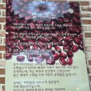 진월당 이미지