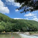 강애산애 이미지