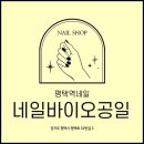 네일바이오공일