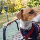 농성광장 이미지