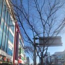 군산시-00018 네이버블로그