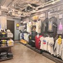 마닐라라이브클럽 이미지