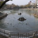 거북공원 이미지