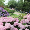 신안축구장 축구장 이미지