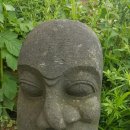 쉐이리코타키나 이미지