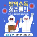 청춘구제 이미지