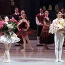 발레 <돈키호테> 이미지