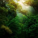 금련산역 4번출구 좋은강안병원 앞 이미지