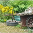 필봉농장 이미지