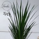 합포내과의원 이미지