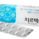 알레그라 | 비염약 비교: 알레그라정 vs 지르텍정 효과·부작용·가격 차이