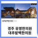 경주 대추밭백한의원 예약방법 시간 네이버예약 위치 가격 동상이몽