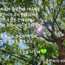 💚.U🌞🎸유태양아~공연전에😊💚 이미지