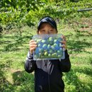 토우 농장 이미지