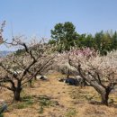 자옥농장 이미지