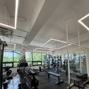 애프터짐피티 이미지