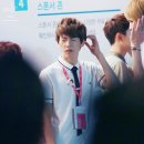 멍뭉 멍뭉 이미지