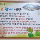 논뚜렁 메기