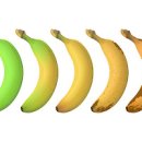 익은 바나나 효능 칼로리 덜익은 바나나 부작용 이미지