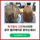 캘리헤어 광주점
