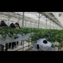 서율농장 이미지