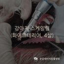 데이지동물병원 이미지