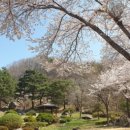 통도CC 골프연습장 이미지