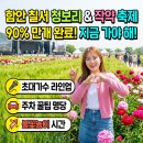 함안면공설운동장 | 함안청보리작약축제 개화 90%? 초대가수 라인업! 주차 명당 및 불꽃놀이 시간