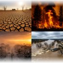 홍익생활건강 이미지