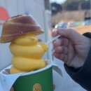 수향목장 이미지