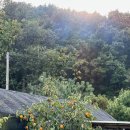 사람사는세상 민박 | [영흥도 가족펜션] 깔끔하고 편안했던 “사람사는세상” 후기