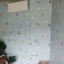 멍멍나래 이미지