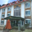 숲속예능어린이집 이미지