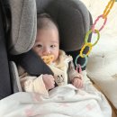 비세이프 이지턴B 카시트 내돈내산 후기, 다이치360에서 바꾼 이유