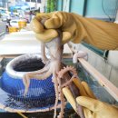 착한어시장 이미지