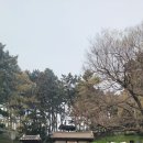 바다위의정원 | [보령 여행] 바다 위를 걷는 비밀 정원, 죽도 상화원 재방문 후기