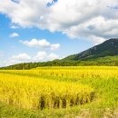 지구환경 이미지